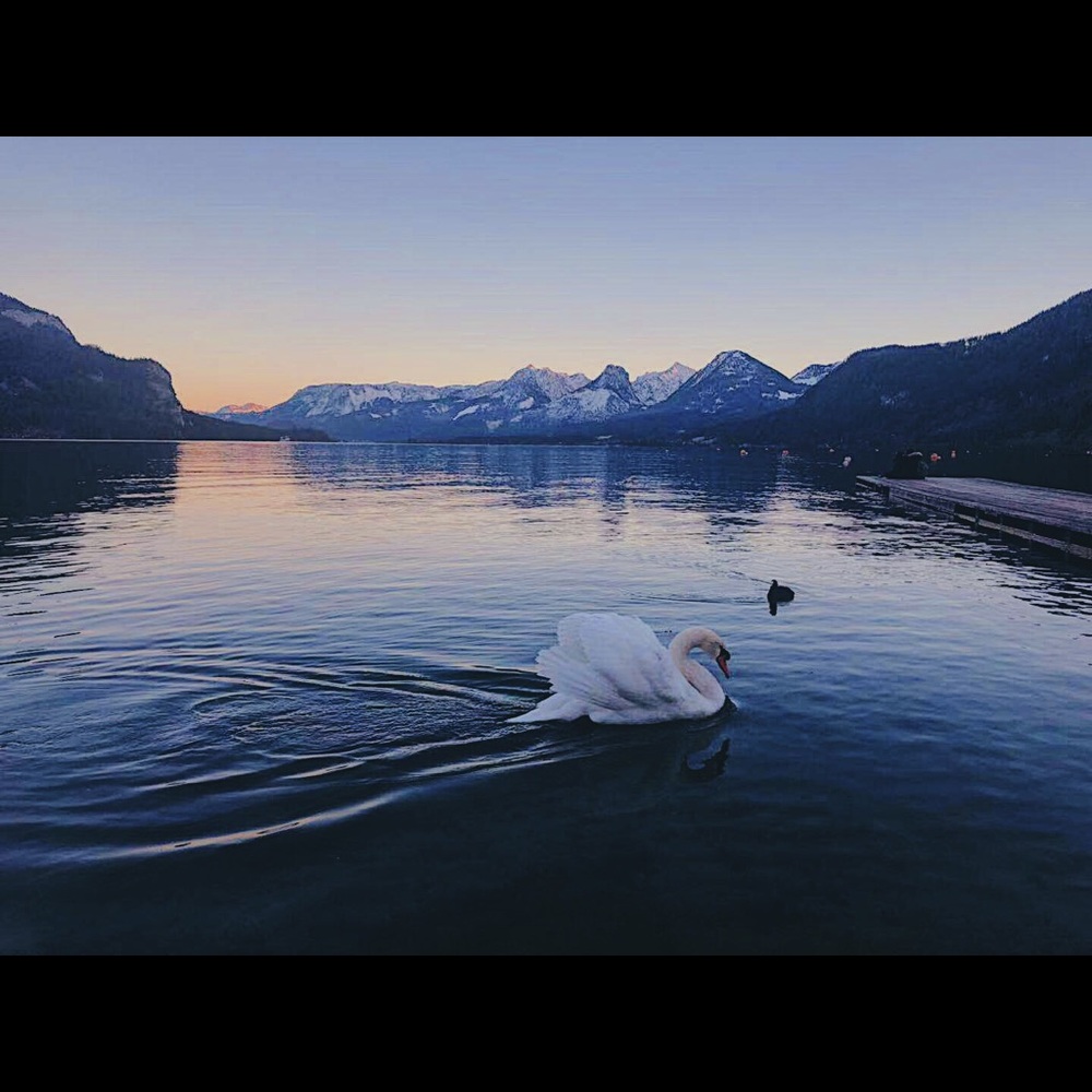 Meet your Posher, Yimin